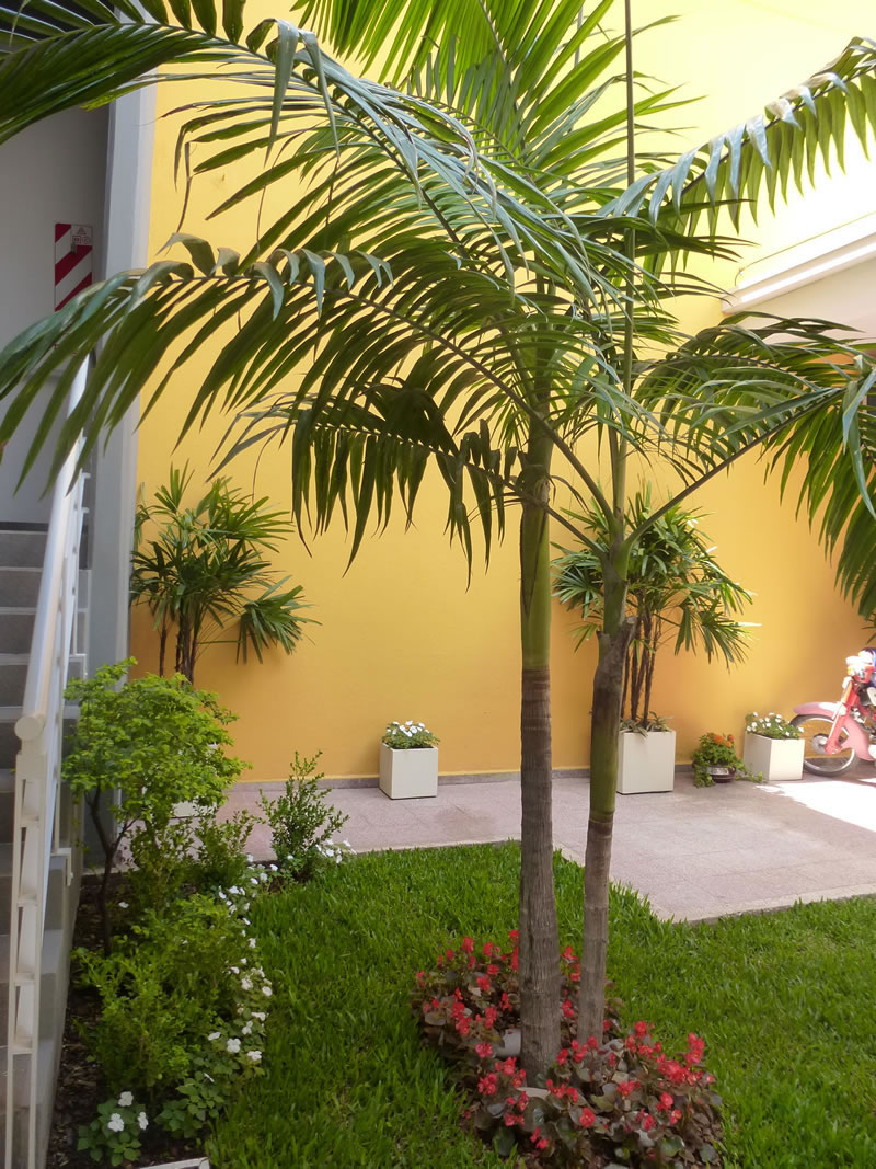 Casa Docente Paraná