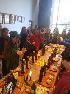 Visita a la fábrica de aceite de oliva. 