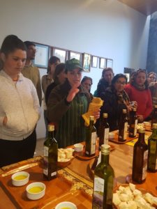 Visita a la fábrica de aceite de oliva. 